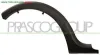 PARAFANGHINO POSTERIORE DESTRO DACIA - SANDERO - 2008 > 2012 CODICE/I: OE 8200531504 DA2221593