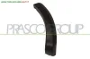 PARAFANGHINO POSTERIORE SINISTRO-PARTE POSTERIORE-NERO-GOFFRATO DACIA - SANDERO - 2013 > 2016 CODICE/I: DA2261594 OE 850778982R