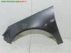 PARAFANGO ANT. SX GRIGIO SCURO MET