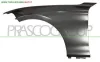 PARAFANGO ANTERIORE DESTRO BMW - SERIE 1 F20 5 PORTE - 2011 > 2015 CODICE/I: OE 41009633538 BM1233003 BM1233005 BM1233033