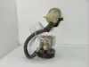 POMPA IDROGUIDA con codice 4910067J00 da SUZUKI Grand Vitara 5P F9Q diesel 1870 (99>05)