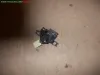 SERRATURA COFANO ANT. VOLKSWAGEN LUPO (6X)