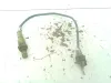 SONDA LAMBDA con codice H8200495791 da DACIA Sandero Serie II Benzina 1200 (12>20)