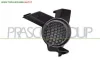 TAPPO FENDINEBBIA DESTRO NISSAN - QASHQAI - 01-12-2006 - 01-03-2010, NISSAN - QASHQAI - 2010 > 2014, NISSAN - QASHQAI +2 - 2008 > 2010, NISSAN - QASHQAI +2 -... CODICE/I: OE 62256JD01A DS7101249
