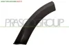 TERMINALE DESTRO PARAURTI POSTERIORE-NERO DACIA - SANDERO - 2008 > 2012 CODICE/I: OE 8200577918 DA2221583
