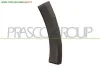 TERMINALE SINISTRO PARAURTI ANTERIORE-NERO DACIA - SANDERO - 2008 > 2012 CODICE/I: DA2221572 OE 8200577913