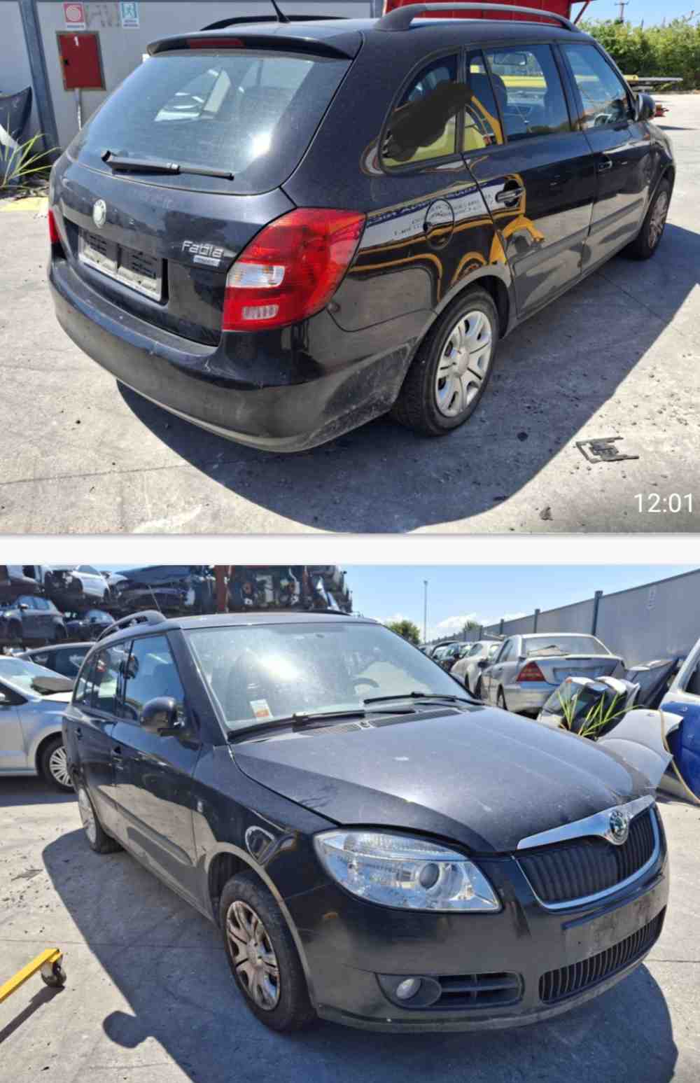 PORTIERA da SKODA Fabia del 2009