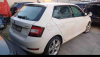 PORTIERA da SKODA Fabia del 2019