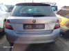 PORTIERA da SKODA Fabia del 2019